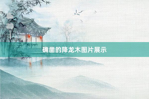 确凿的降龙木图片展示