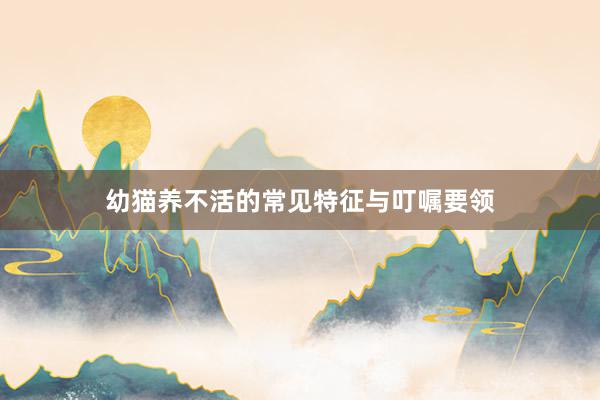 幼猫养不活的常见特征与叮嘱要领